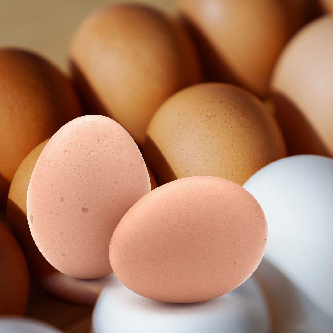 Farm Fresh Eggs